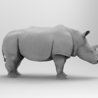 Rhinoceros - Thumbnail 2