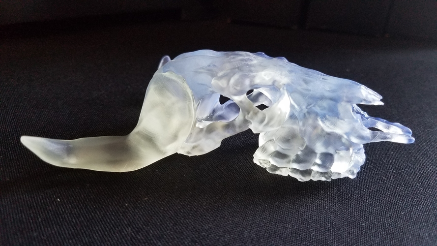 3D Printed Skull Bull Evil by pixelkore | Pinshape