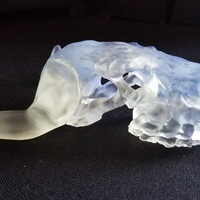 Skull Bull Evil - Thumbnail 3