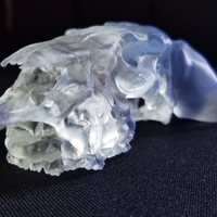 Skull Bull Evil - Thumbnail 5