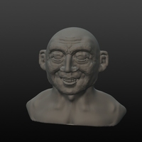 Small Xicht busta 3D Printing 176370