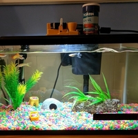 Automatic Fish Feeder - Thumbnail 3