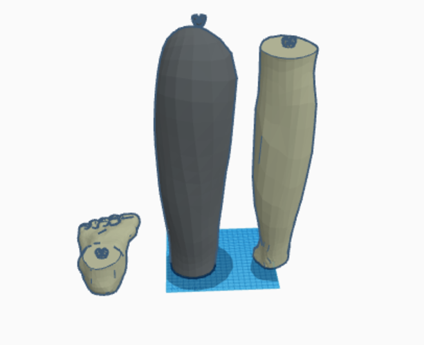 leg and foot for synth human