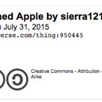 3D Printing Symbolism Lesson Plan - Thumbnail 1