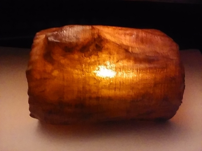 Lighted log 3D Print 177715