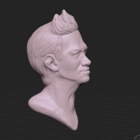 Small Grant Gustin likeness (FanArt) 3D Printing 177887