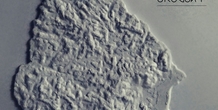Image 178014