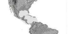 Image 178015