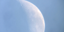 Image 178090