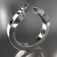 Opposing forces - Thumbnail 2