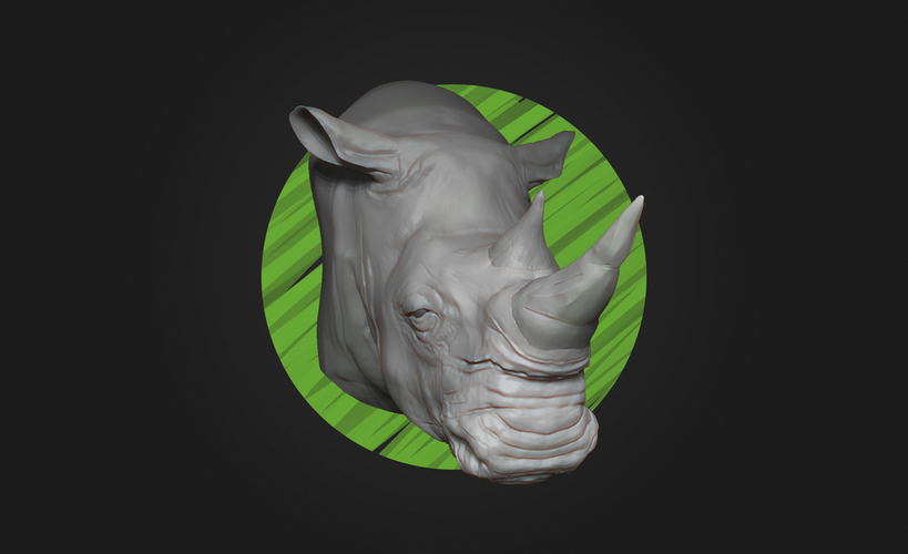 White Rhino Head - High Poly 3D Print 178937