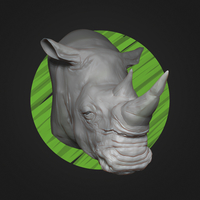 White Rhino Head - High Poly - Thumbnail 3