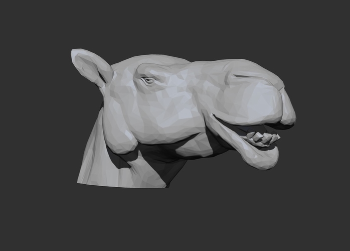 Dromedary Camel Head - Low Poly 3D Print 178938