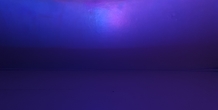 Image 179009