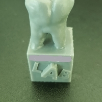 Small Wisdom tooth 3D Printing 179017