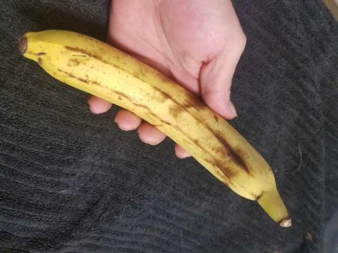 High Resolution Scan of a Banana. Yes, a Banana. 3D Print 179244