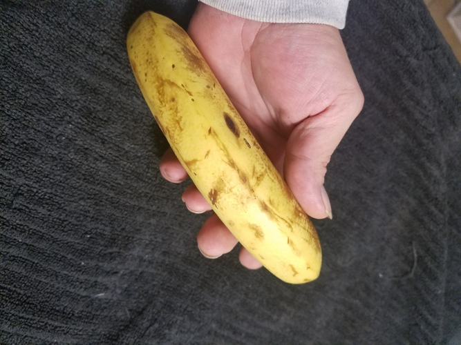 High Resolution Scan of a Banana. Yes, a Banana. 3D Print 179245