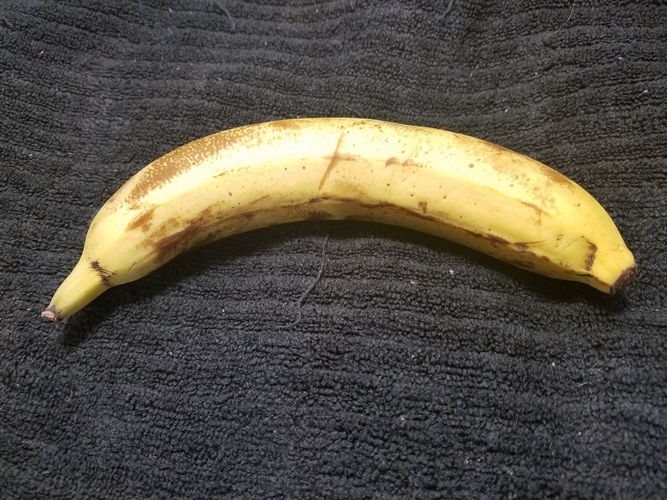 High Resolution Scan of a Banana. Yes, a Banana. 3D Print 179246
