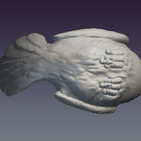 Decorative dove 3D print model - Thumbnail 3