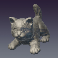 Small Cat 3D Printing 179286