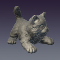 Cat - Thumbnail 2