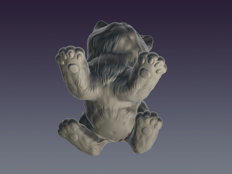 Cat - Pinshape