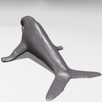 Wlarus - Thumbnail 4