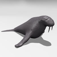 Wlarus - Thumbnail 5