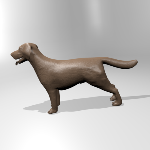 Labrador 3D Print 179362
