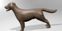 Image 179362