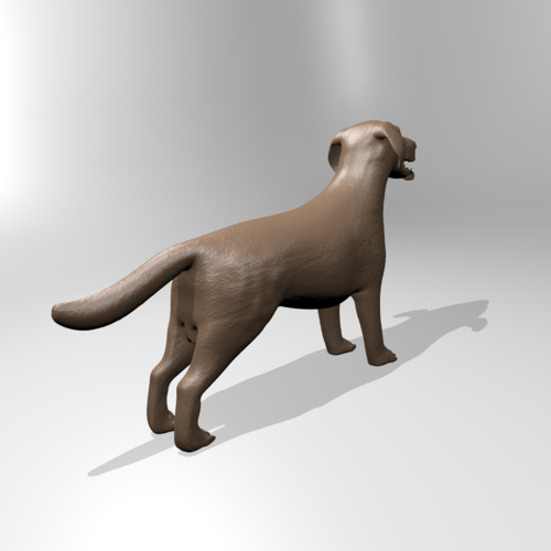 Labrador 3D Print 179363