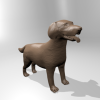 Labrador - Thumbnail 3