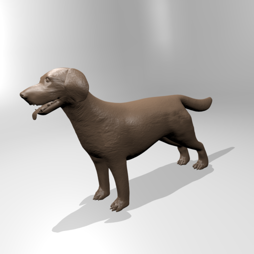 Labrador 3D Print 179366