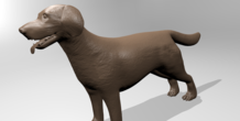 Image 179366