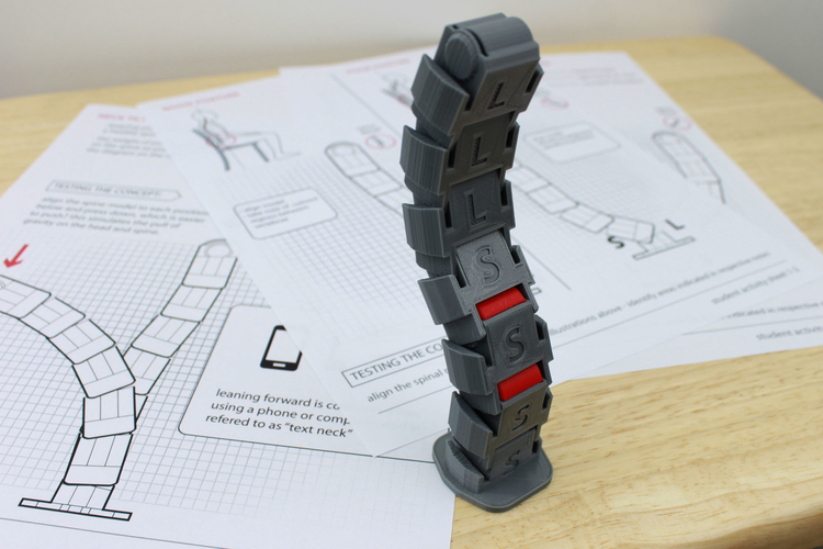 Neutral Spine Teaching Aid 3D Print 179693