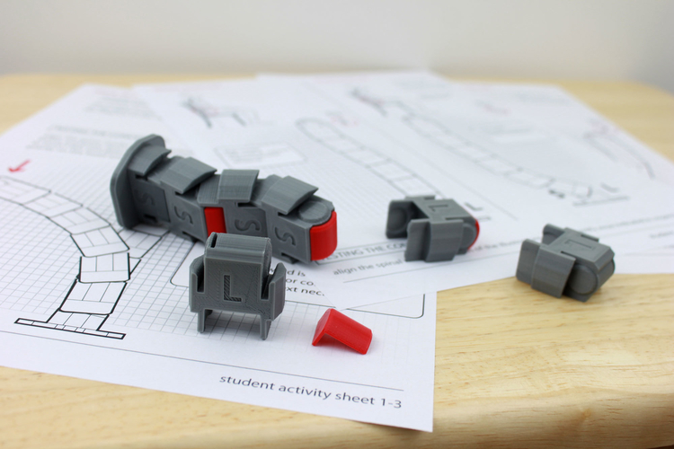 Neutral Spine Teaching Aid 3D Print 179695