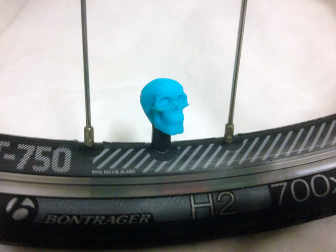 Car Truck Bike Van Tire Tyre Wheel Valve Stem Caps Cover Skull 3D Print 179784