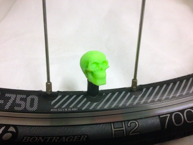Car Truck Bike Van Tire Tyre Wheel Valve Stem Caps Cover Skull 3D Print 179785