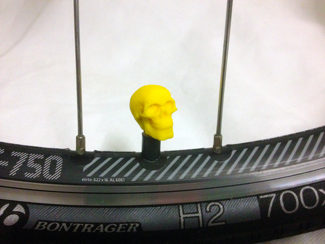 Car Truck Bike Van Tire Tyre Wheel Valve Stem Caps Cover Skull 3D Print 179787
