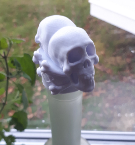Poison Skulls Bottle Stopper 3D Print 179946