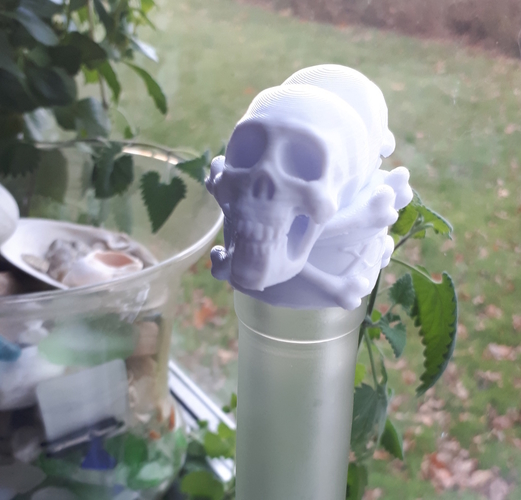 Poison Skulls Bottle Stopper 3D Print 179947