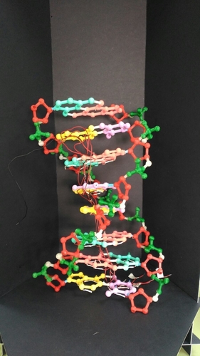 Building a DNA chain 3D Print 179958