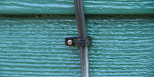 Image 179980