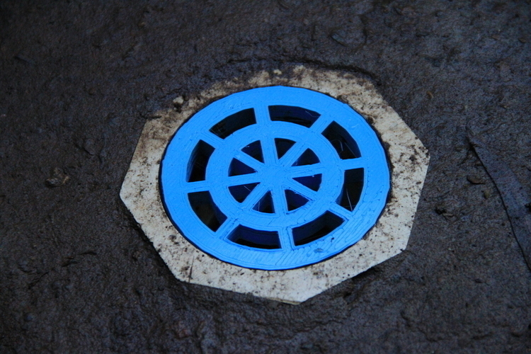 Drain Cover 3D Print 179990