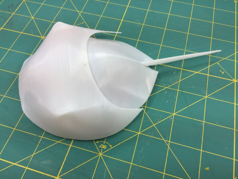 Robotic Horseshoe Crab