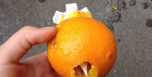 Image 180034