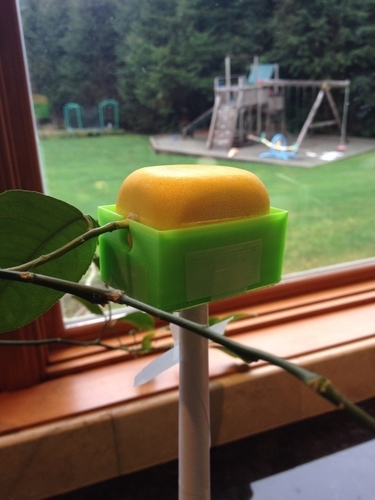 Squareish Lemon Mold 3D Print 180057