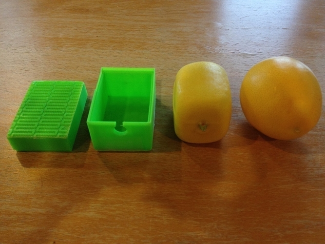 Squareish Lemon Mold 3D Print 180058