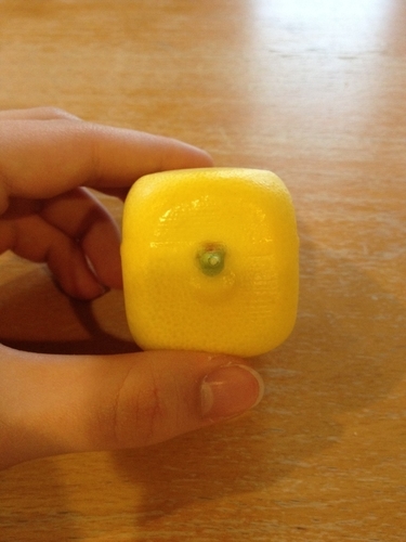 Squareish Lemon Mold 3D Print 180063