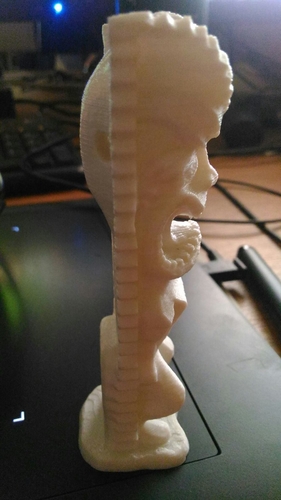 Tiki_scrubs 3D Print 180203